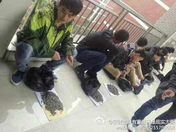 临汾卫校爆料最新事件,校园事件引发关注